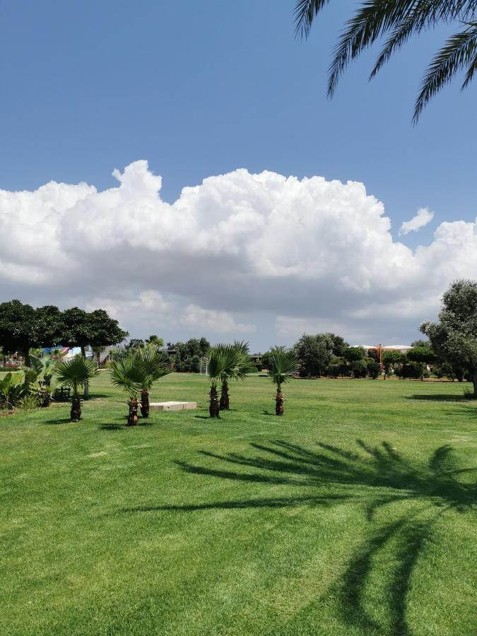 Green Apartment In Bafra Northern Cyprus Vokolidha Extérieur photo