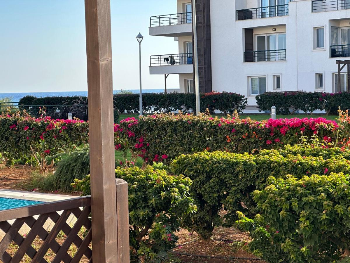 Green Apartment In Bafra Northern Cyprus Vokolidha Extérieur photo
